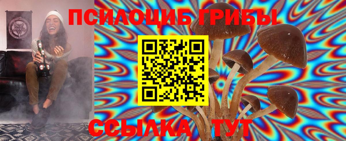 Минусинск  Галлюциногенные грибы ЛСД  Вход с VPN 